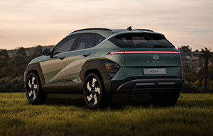a car parked in a field